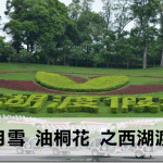 【苗栗桐花】五月雪油桐花在西湖渡假村